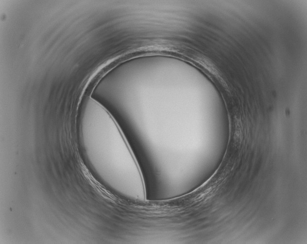 X0000054450980200507290947