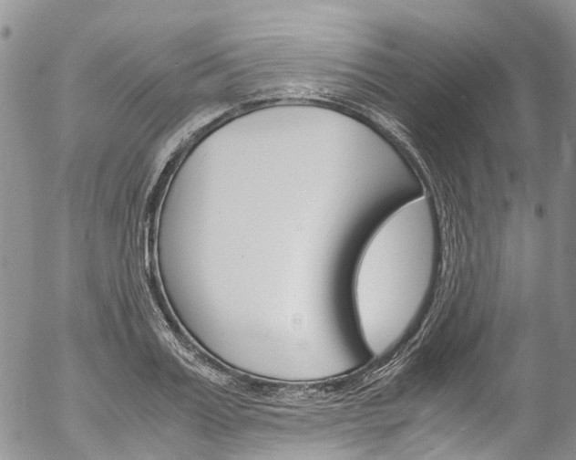 X0000054450987200507290947