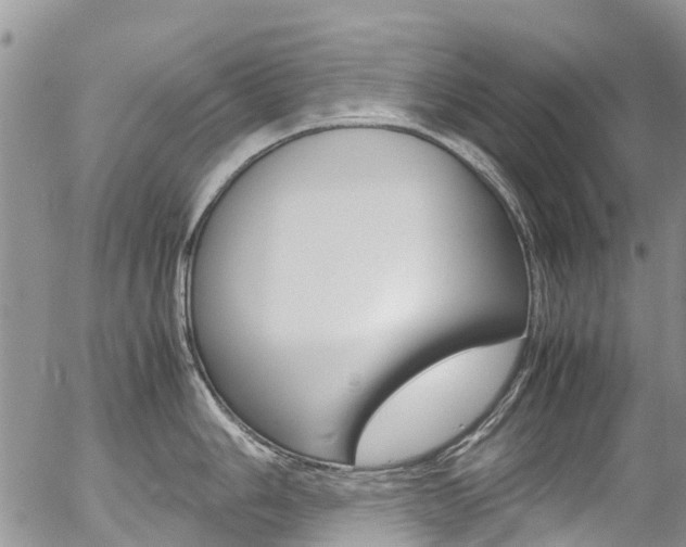 X0000054451006200507290946