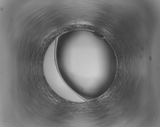 X0000054451014200507290946