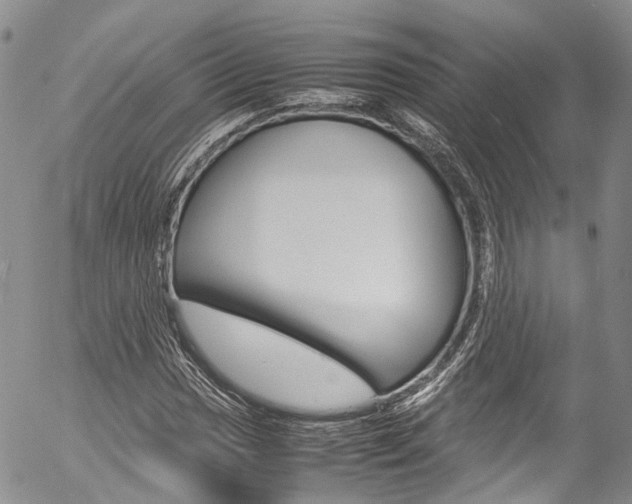 X0000054451017200507290946
