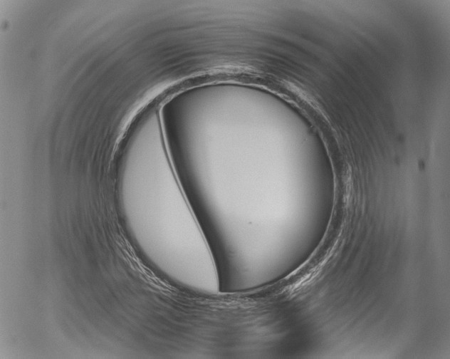 X0000054451021200507290946