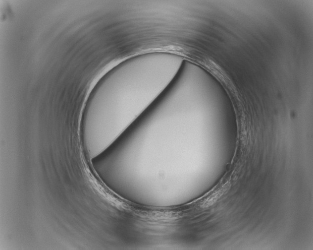 X0000054451036200507290946