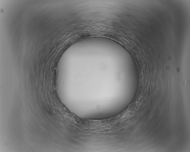 X0000054451057200507290946