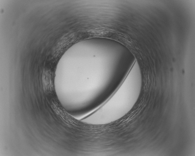 X0000054451058200507290946