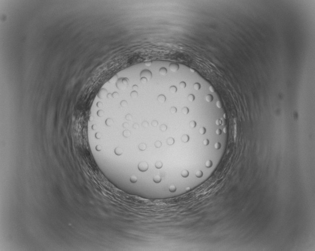 X0000054451059200507290946