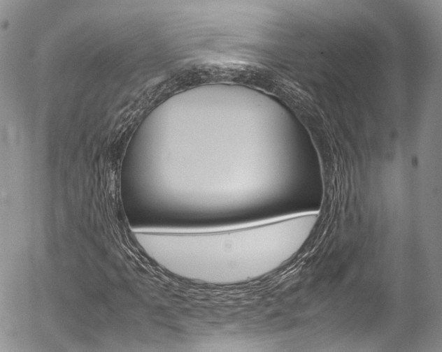 X0000054451061200507290946