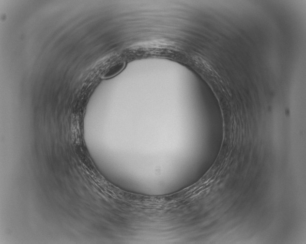 X0000054451062200507290946