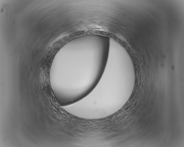 X0000054451063200507290946