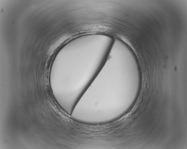 X0000054451071200507290945