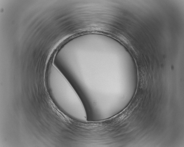 X0000054451076200507290945