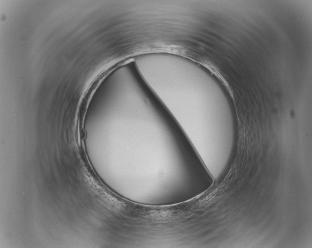 X0000054451080200507290945