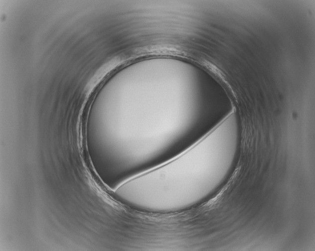 X0000054451082200507290945