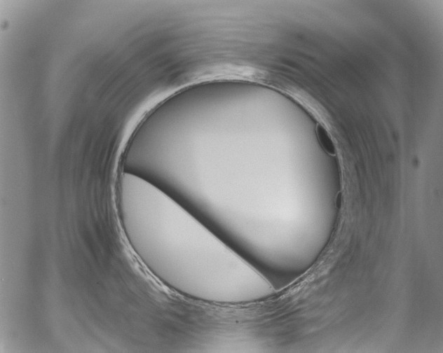 X0000054451104200507290945