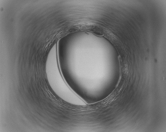 X0000054451108200507290944