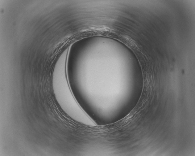 X0000054451110200507290944