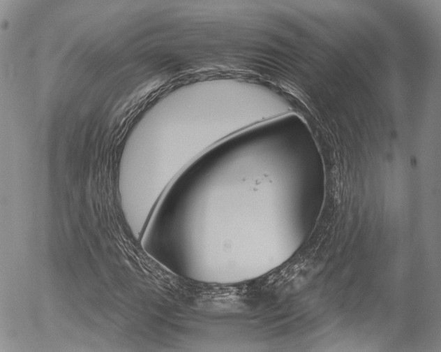 X0000054451111200507290944