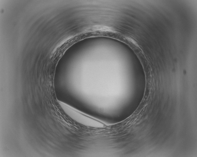 X0000054451112200507290944