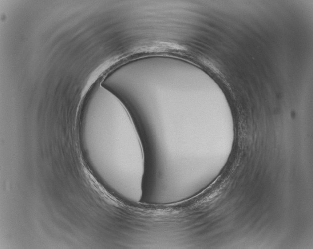 X0000054451122200507290944