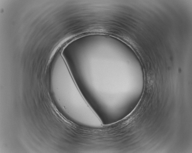 X0000054451123200507290944