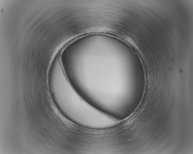 X0000054451124200507290944