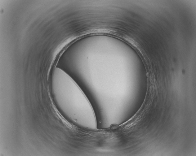 X0000054451127200507290944