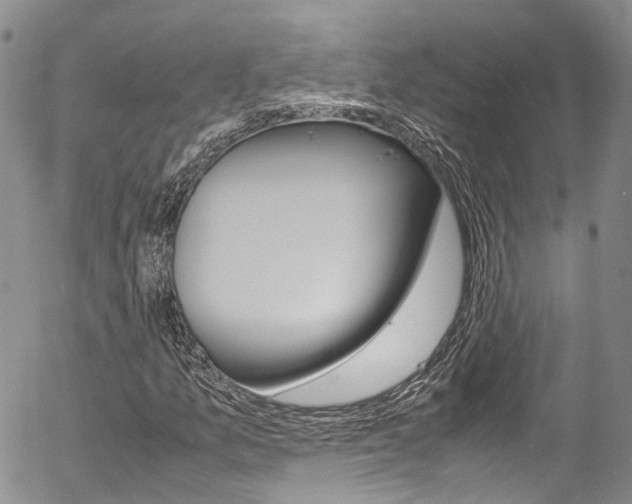 X0000054451157200507290944