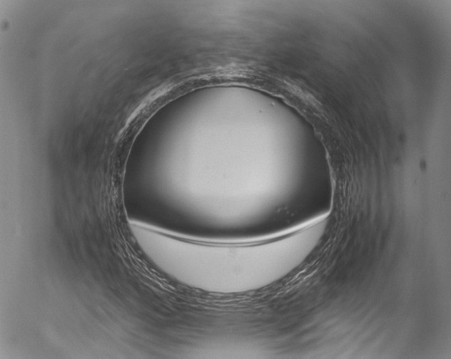 X0000054451160200507290944