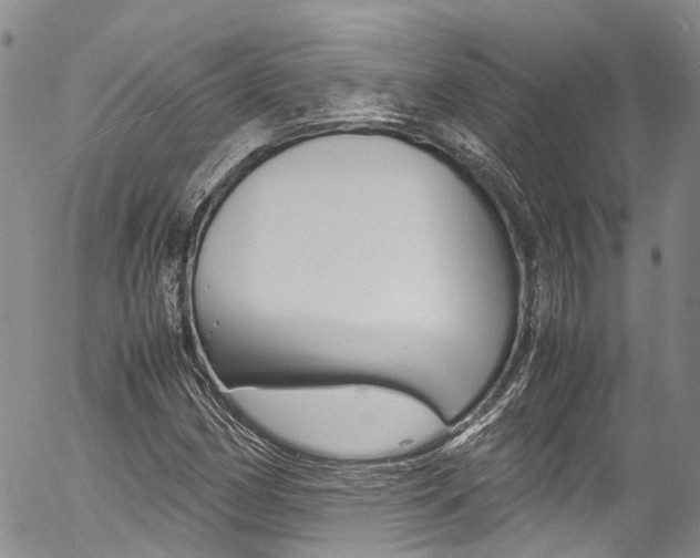 X0000054451162200507290944