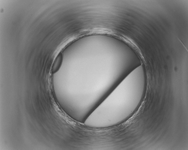 X0000054451190200507290943