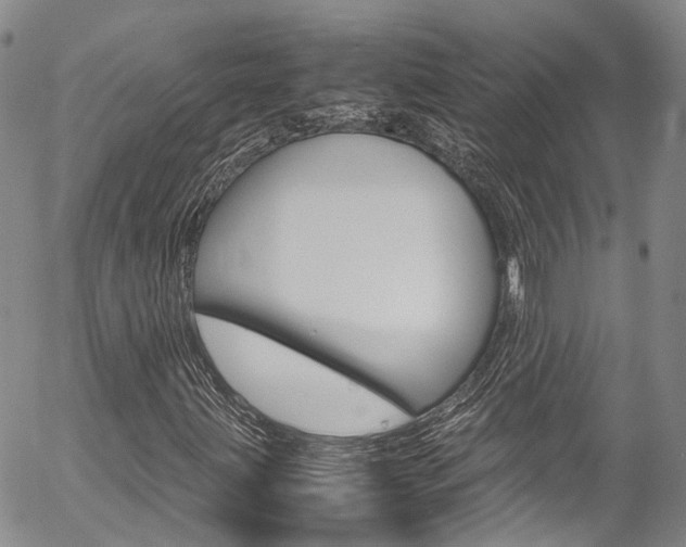 X0000054451203200507290943