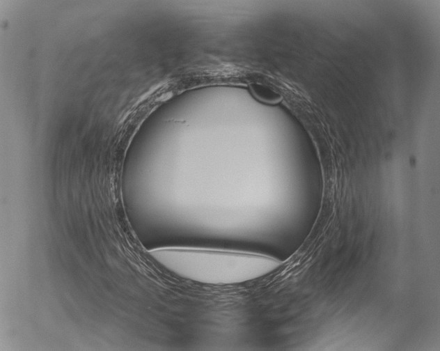 X0000054451205200507290943