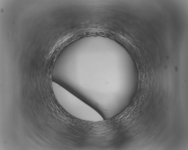 X0000054451207200507290943