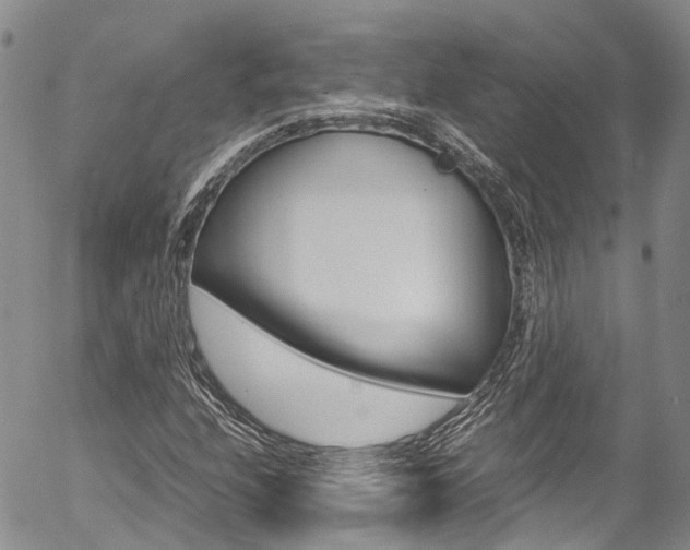 X0000054451208200507290943