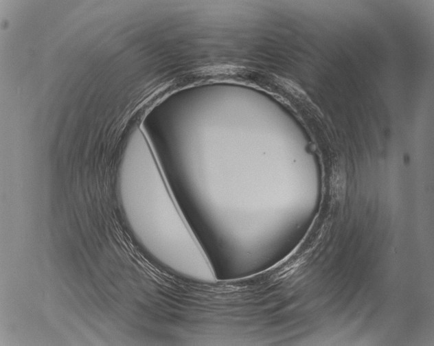 X0000054451209200507290943