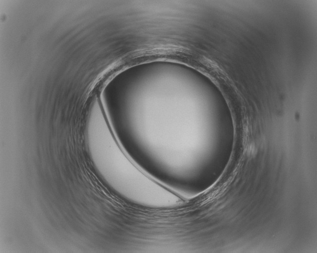 X0000054451210200507290943