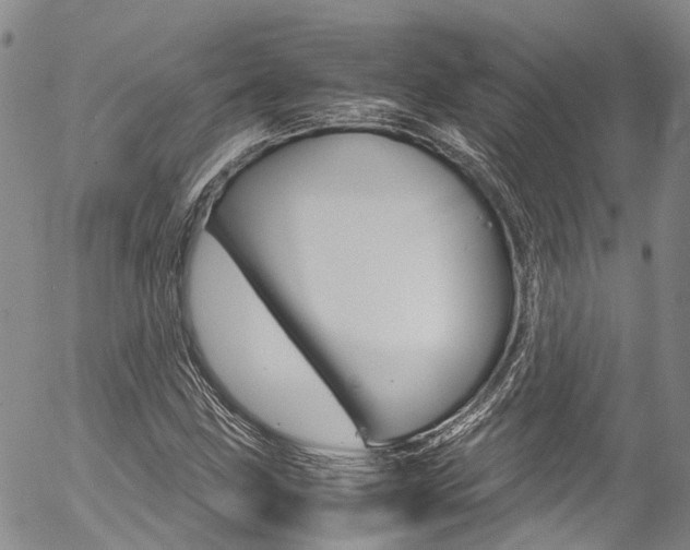 X0000054451211200507290943