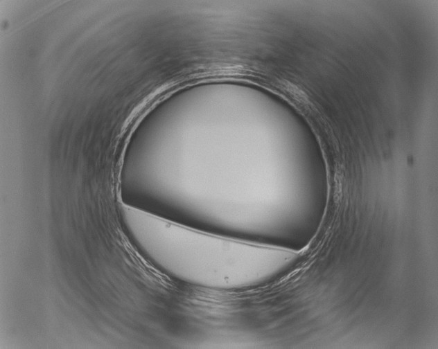 X0000054451212200507290943