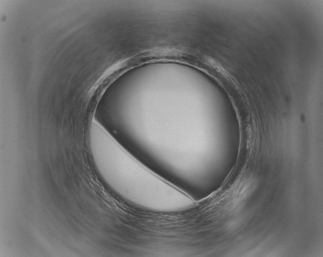 X0000054451213200507290943