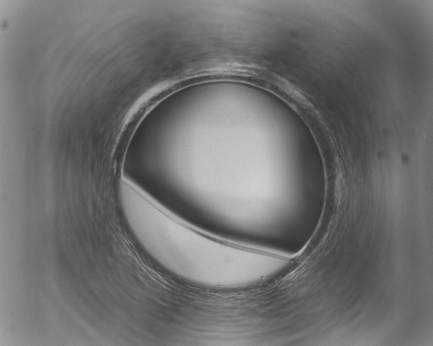 X0000054451222200507290943