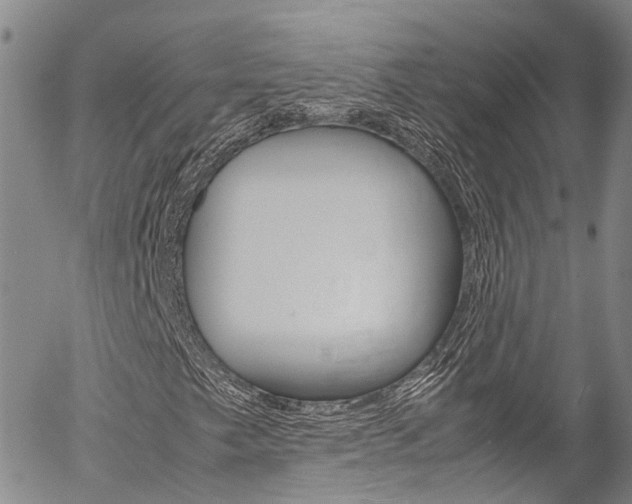 X0000054451249200507290942