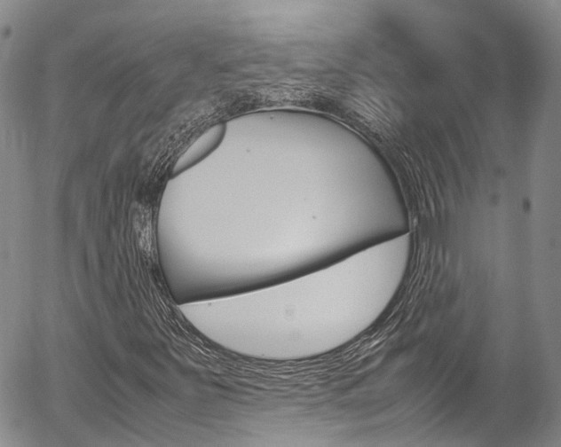 X0000054451251200507290942