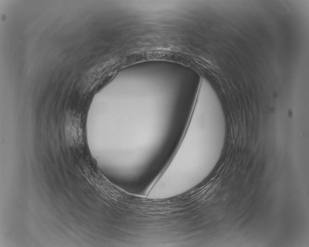 X0000054451252200507290942