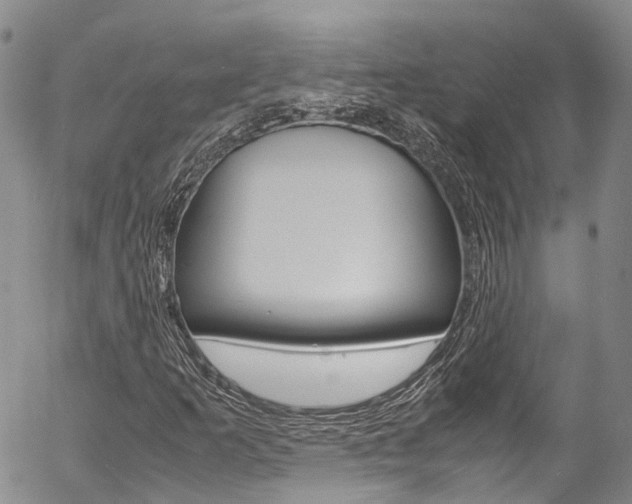 X0000054451253200507290942