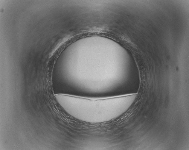 X0000054451256200507290942