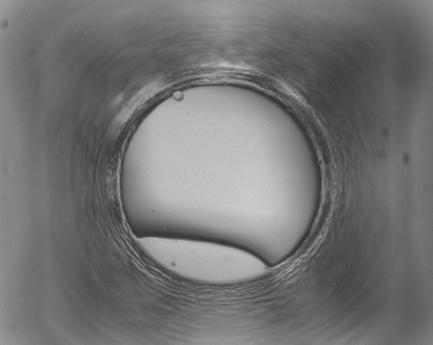 X0000054451259200507290942