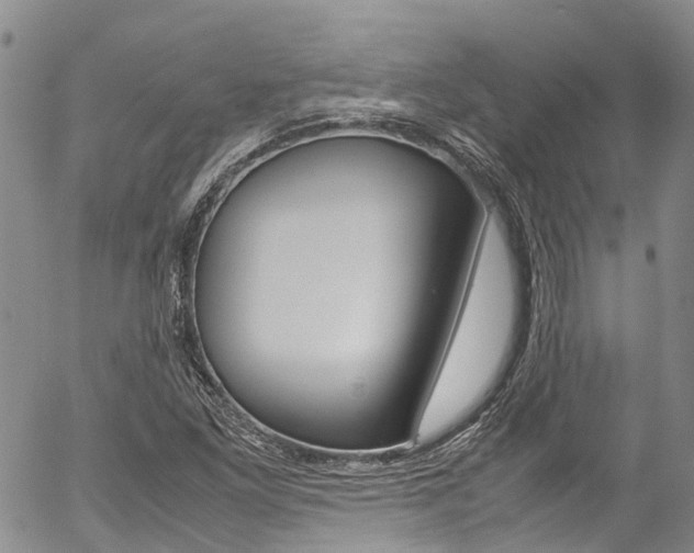 X0000054451261200507290942