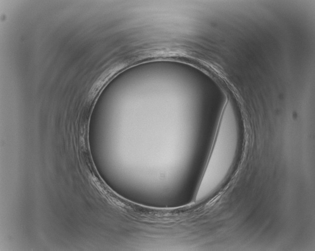 X0000054451273200507290942