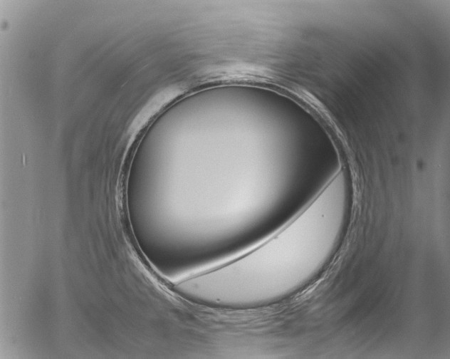 X0000054451285200507290942
