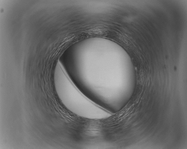 X0000054451297200507290941